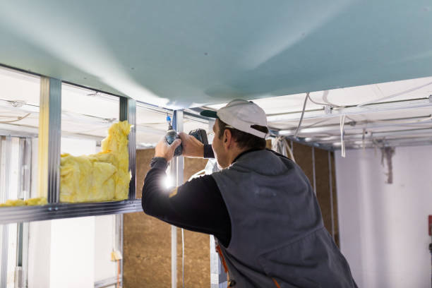 Professional Insulation Contractor in Richmond West, FL