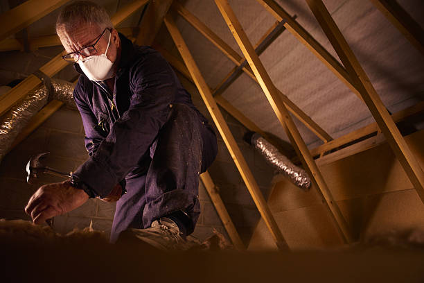 Best Cellulose Insulation in Richmond West, FL