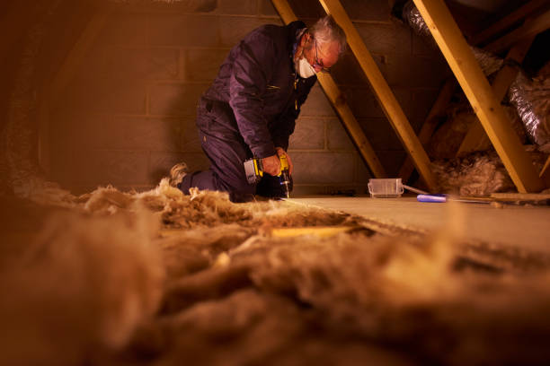 Best DIY Insulation Kits and Guidance in Richmond West, FL