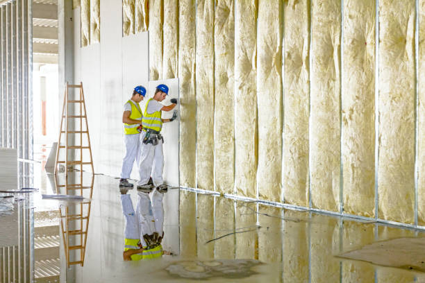Types of Insulation We Offer in Richmond West, FL